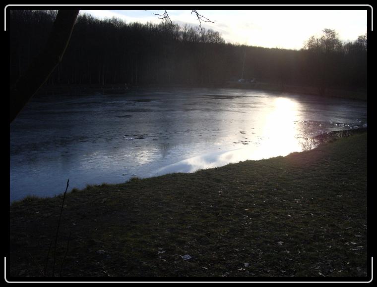 Nächstes Bild